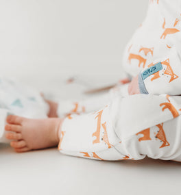 Fox All-in-one